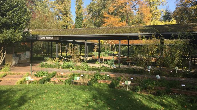 Le parc floral abrite aussi une collection de plantes médicinales et aromatiques. © Léna Hespel